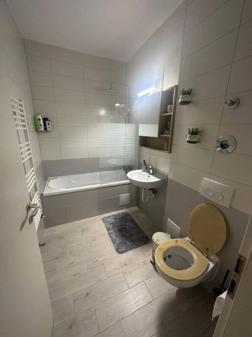 Newlevel Studio Brasov Luaran gambar